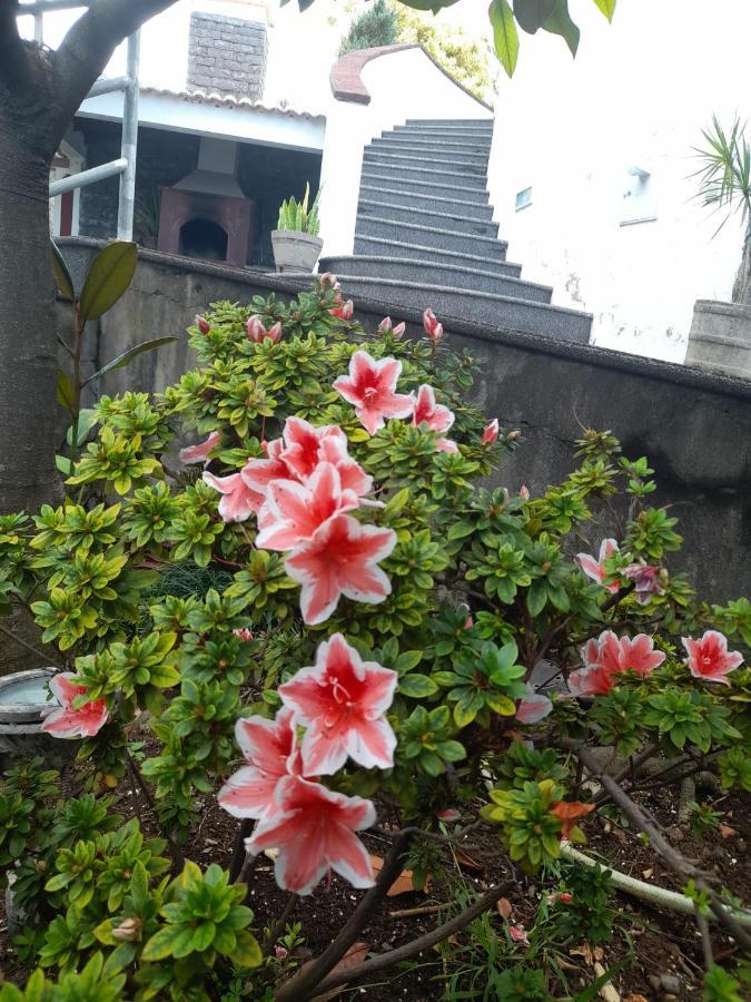 Paraiso Resiliente Santana  Exterior foto